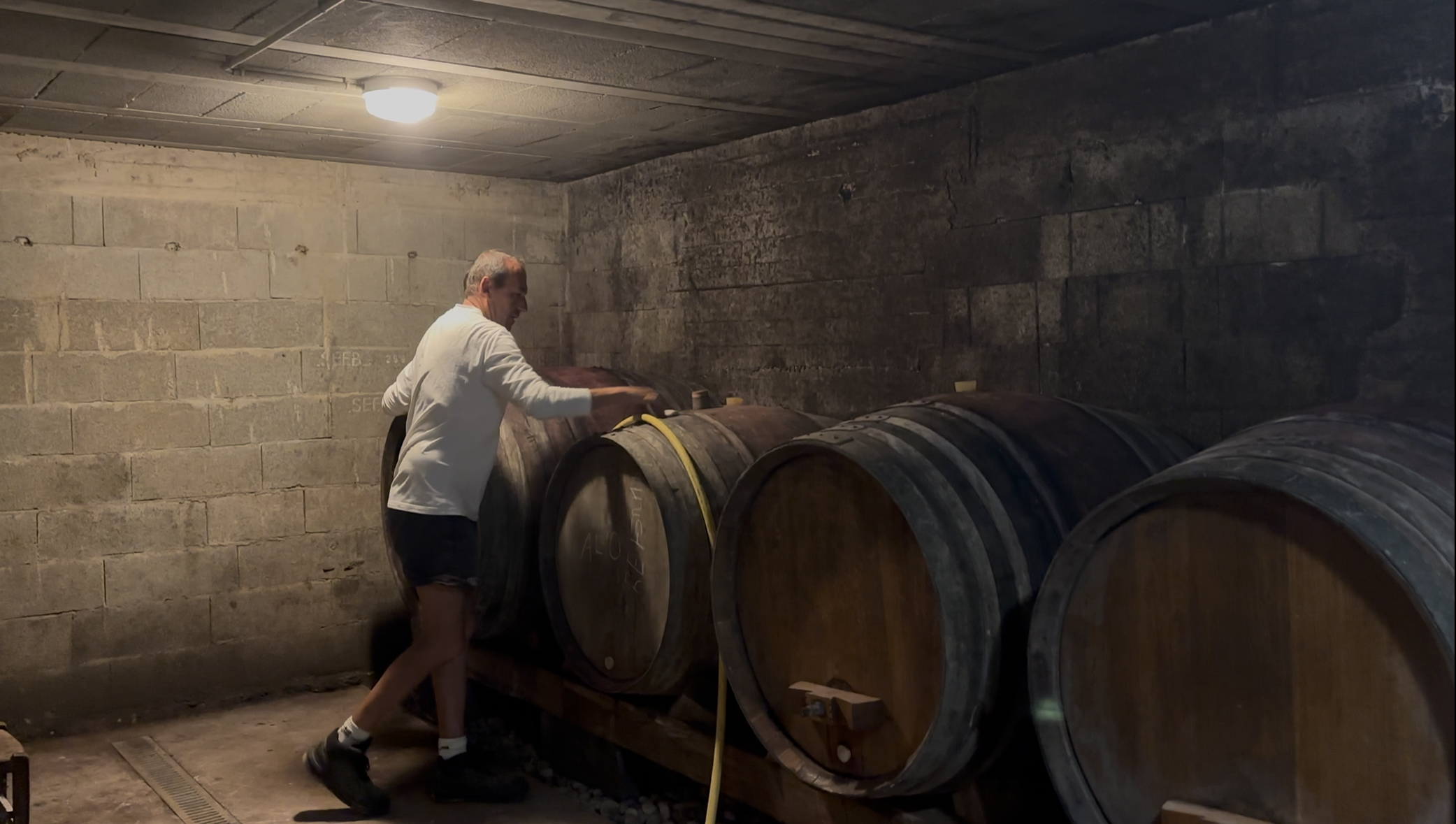 Le travail en cave lors de la vinification de notre vin Saint-Joseph
