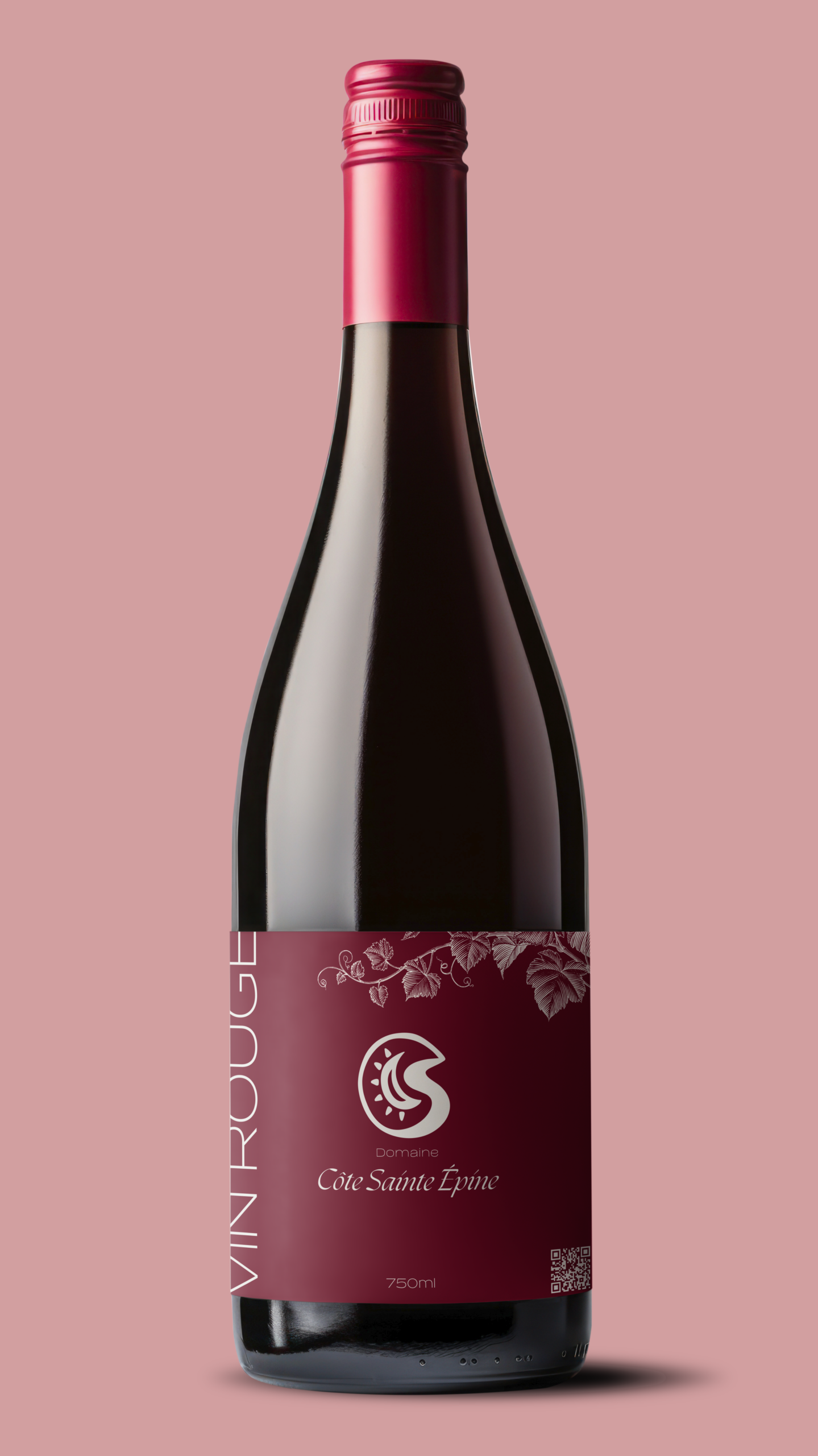 Bouteille de vin Saint-Joseph Rouge du Domaine de la Côte Sainte Épine