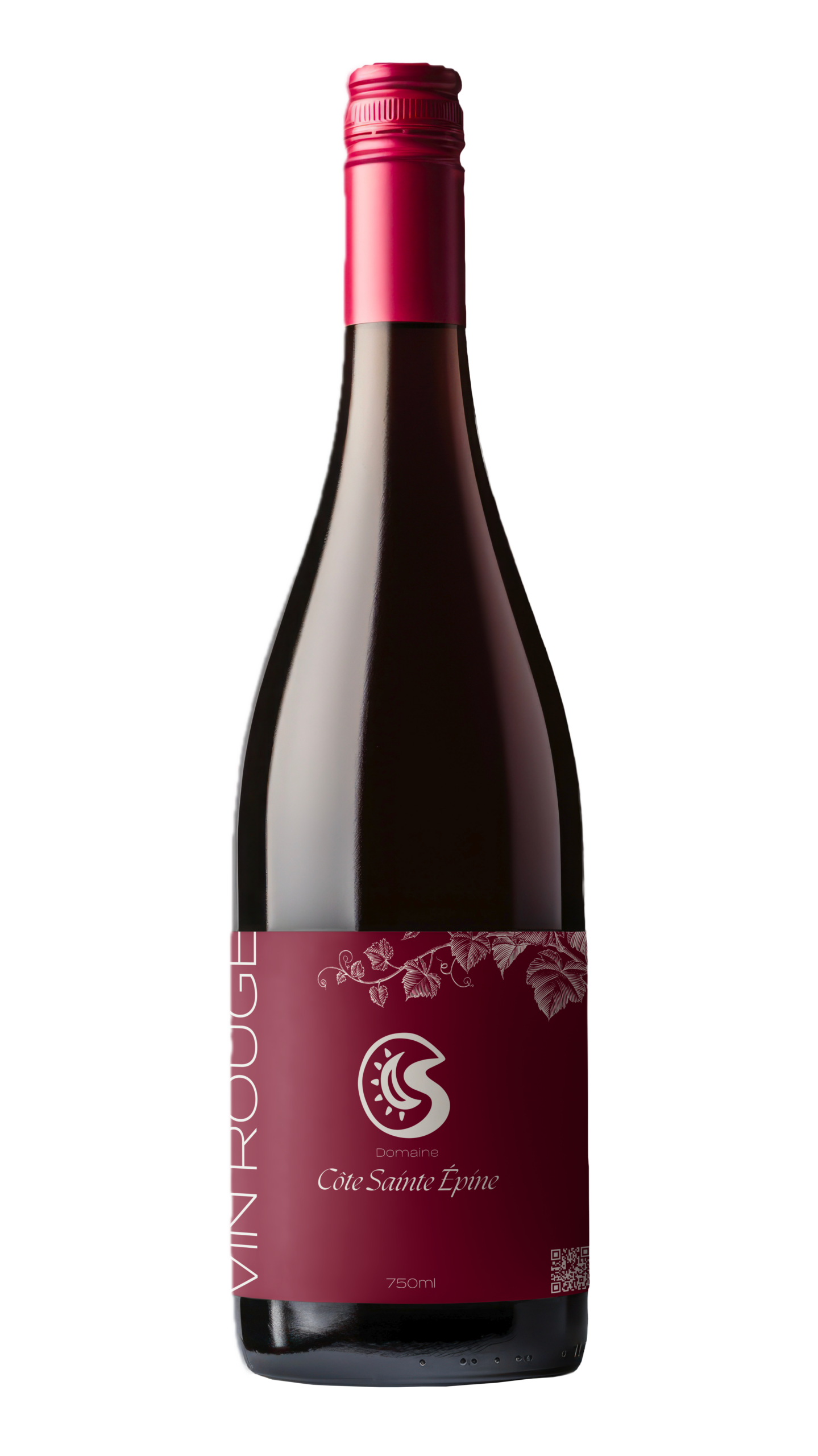 Bouteille de vin Saint-Joseph Rouge du Domaine de la Côte Sainte Épine